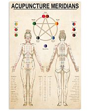 Acupuncture meridian dvhd-pml 24x36 Poster front