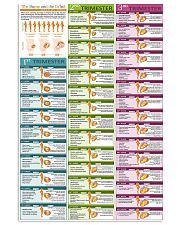midwife the bump and the grind 24x36 Poster front
