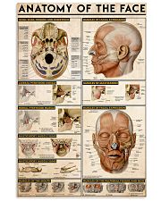 anatomy-face 11x17 Poster front