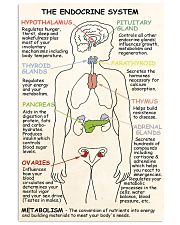 endocrine system doodle 11x17 Poster front