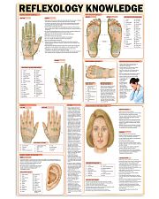reflexology knowledge 24x36 Poster front