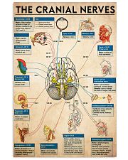 the cranial nerve 11x17 Poster front