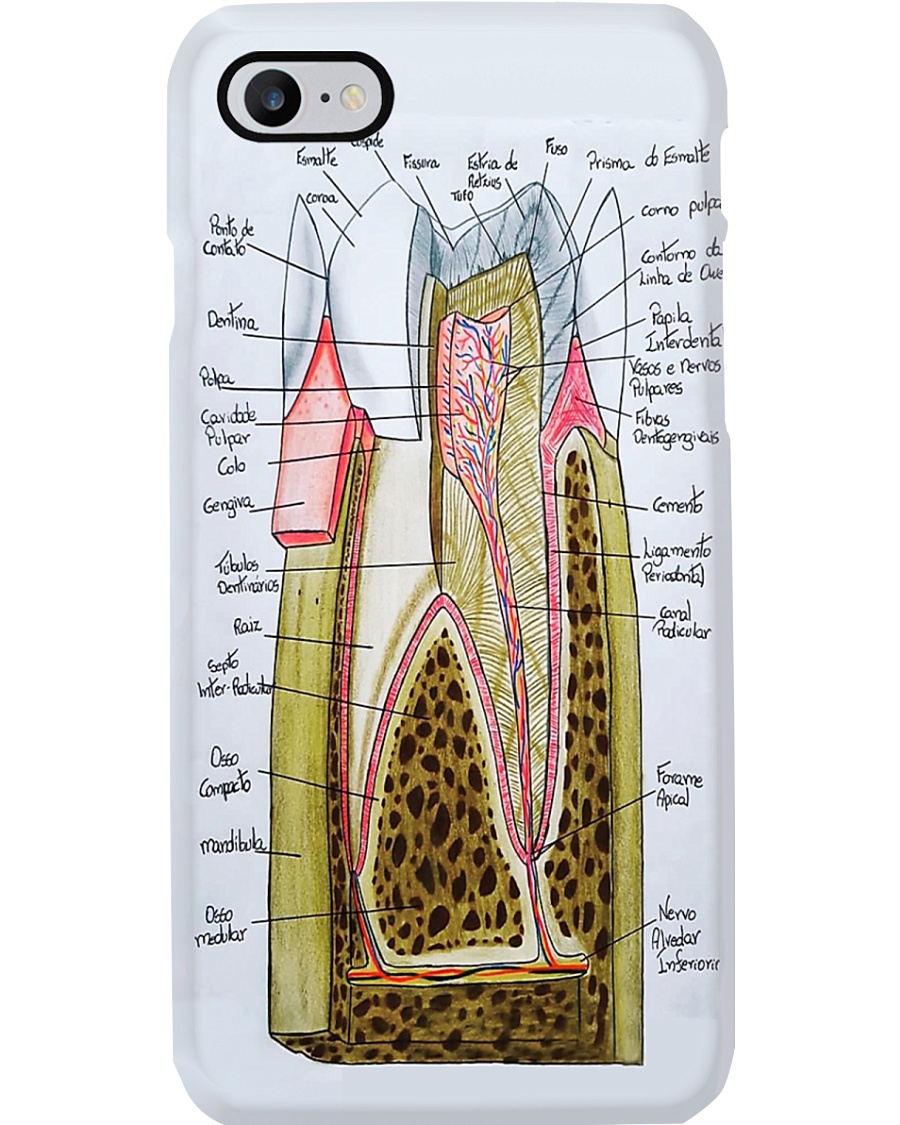 tooth anatomy case Phone Case