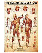 the human musculature 24x36 Poster front