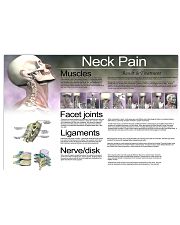neck pain 24x16 Poster front