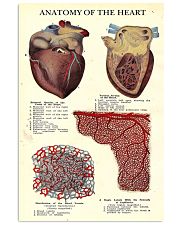 heart anatomy vintage 11x17 Poster front