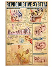 Reproductive-System 11x17 Poster front