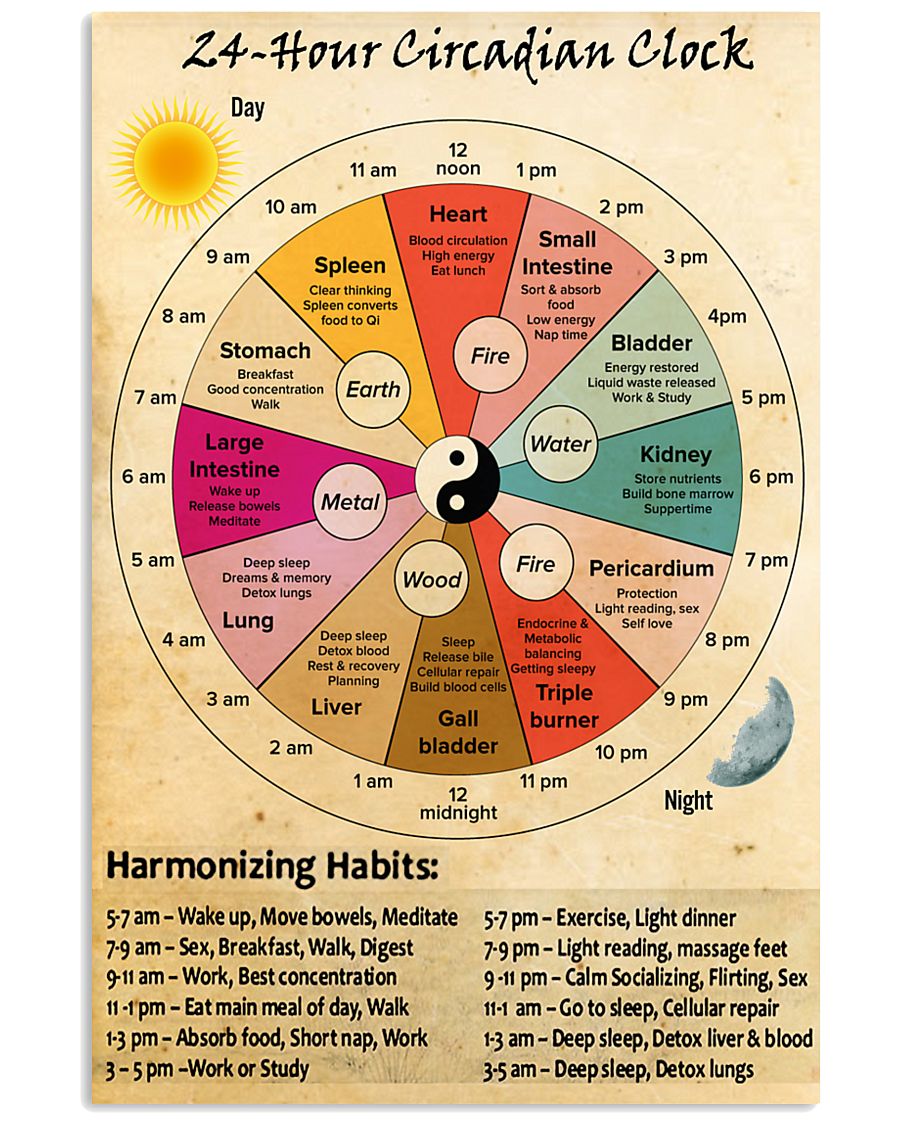 TCM-clock-circadian 24x36 Poster