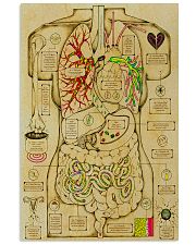anatomy fact 2 11x17 Poster front