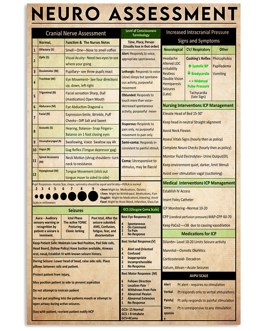 neuro assessment 11x17 Poster