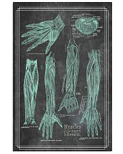 anatomy black board 5 11x17 Poster front