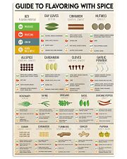 spice guide 24x36 Poster front