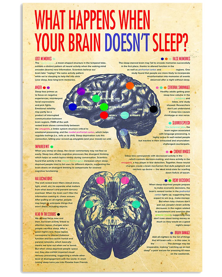 brain not sleep 24x36 Poster