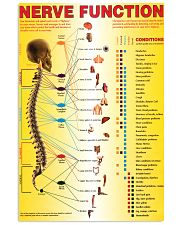 spinal nerves function chart 24x36 Poster front