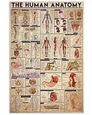 Human anatomy 11x17 Poster front