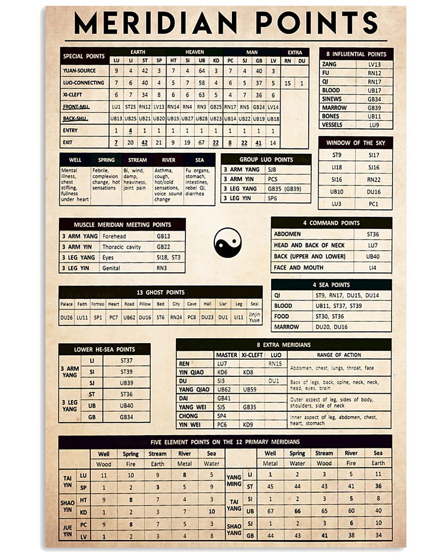 meridian-points 24x36 Poster