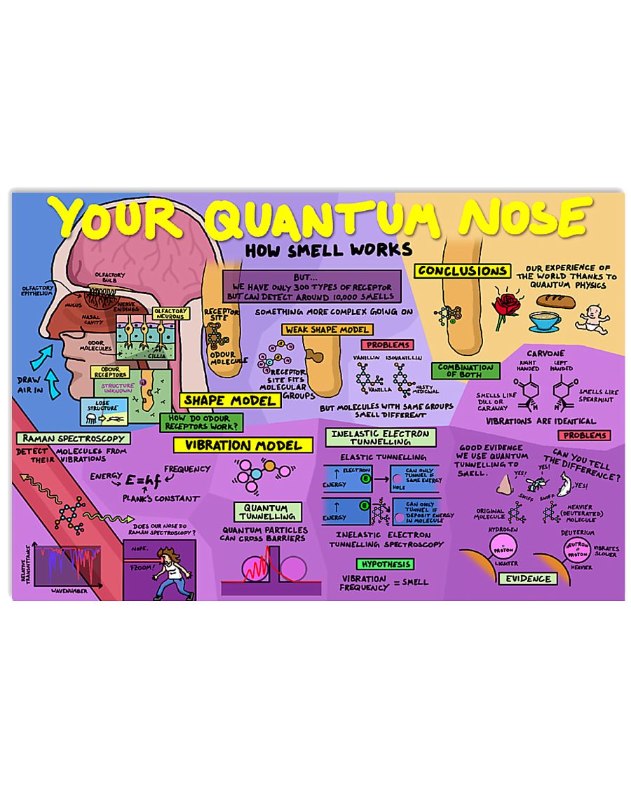 your quantum nose 17x11 Poster