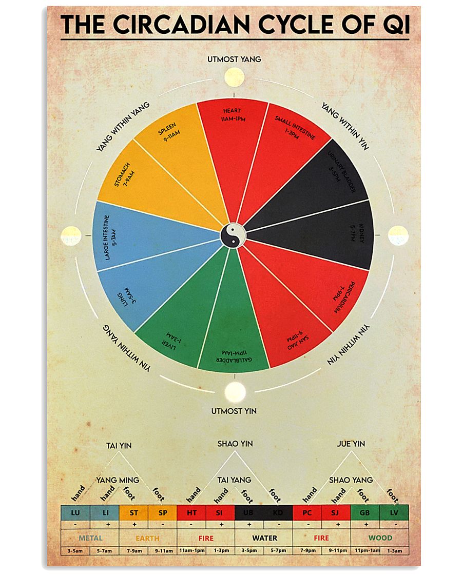 Circadian Cycle of Qi 24x36 Poster