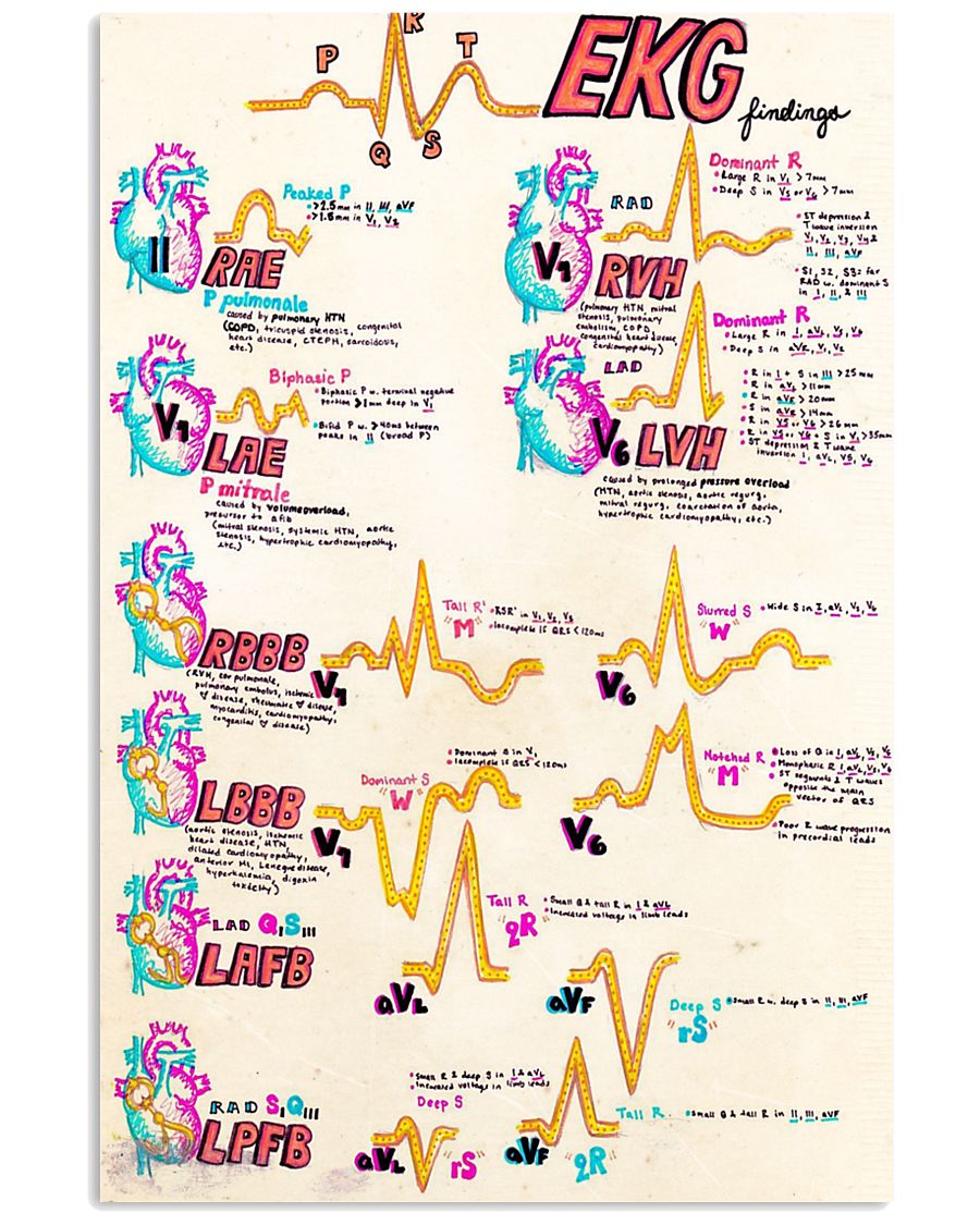 cardiologist heart doodle 24x36 Poster