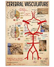 cerebral vasculature 11x17 Poster front