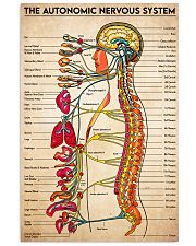 autonomic nerves 11x17 Poster front