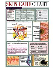 skin care chart 24x36 Poster front