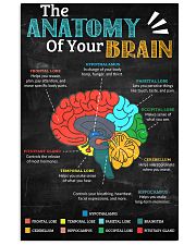 anatomy brain board 11x17 Poster front