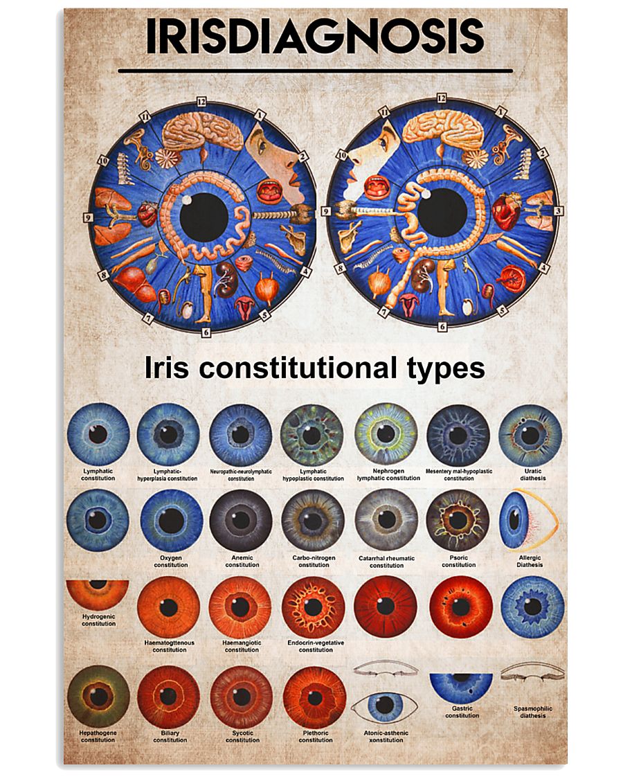 iridology knowledge 11x17 Poster