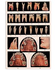 vintage-dental-3 11x17 Poster front