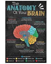 anatomy brain board 2 11x17 Poster front