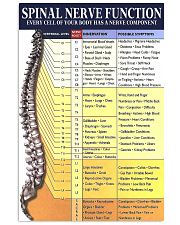 Spine nerve function dvhd-ngt 11x17 Poster front