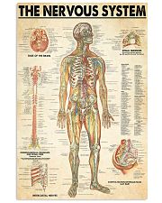 neurologist the nervous system 24x36 Poster front
