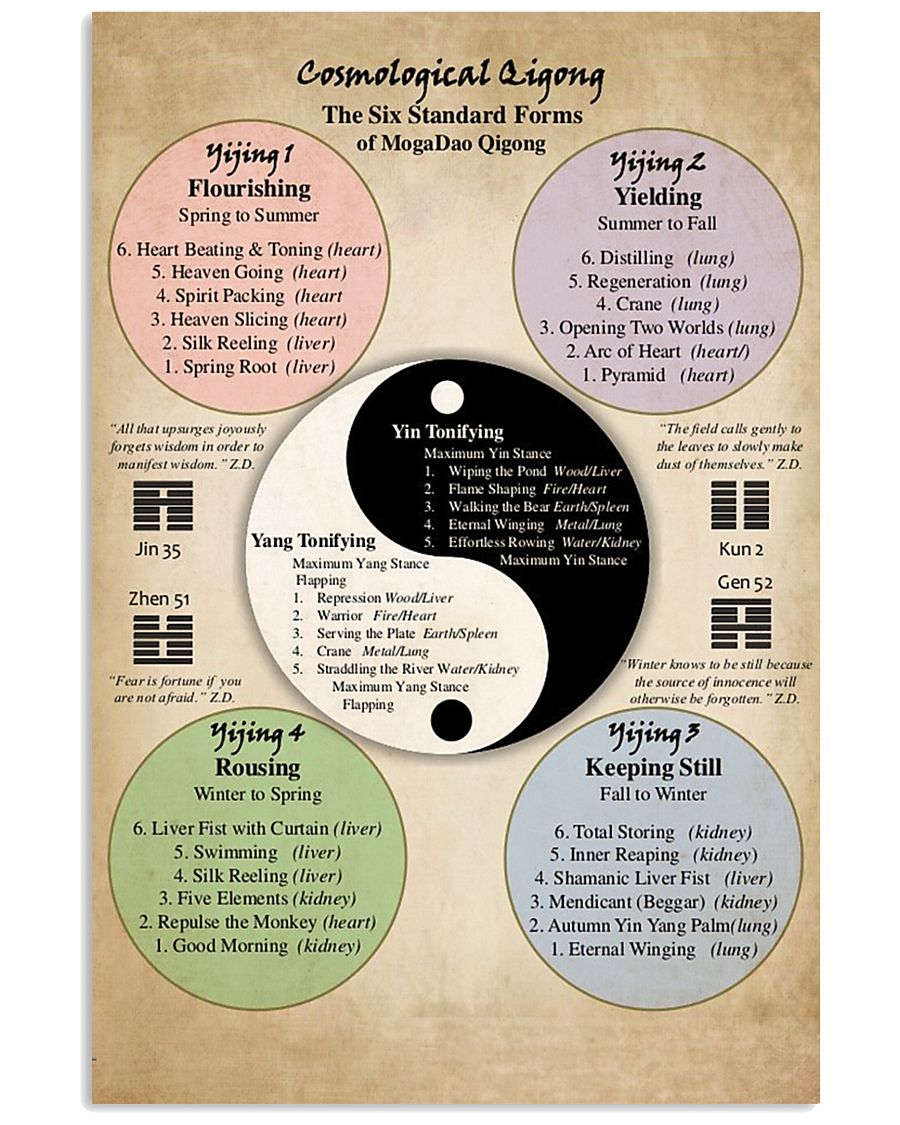 cosmological qigong 24x36 Poster
