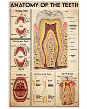 teeth anatomy 11x17 Poster front
