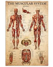Muscular-System 11x17 Poster front