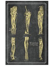 anatomy black board 3 11x17 Poster front