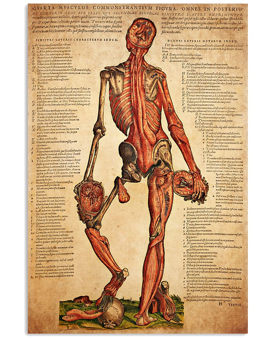 antique anatomy 11x17 Poster