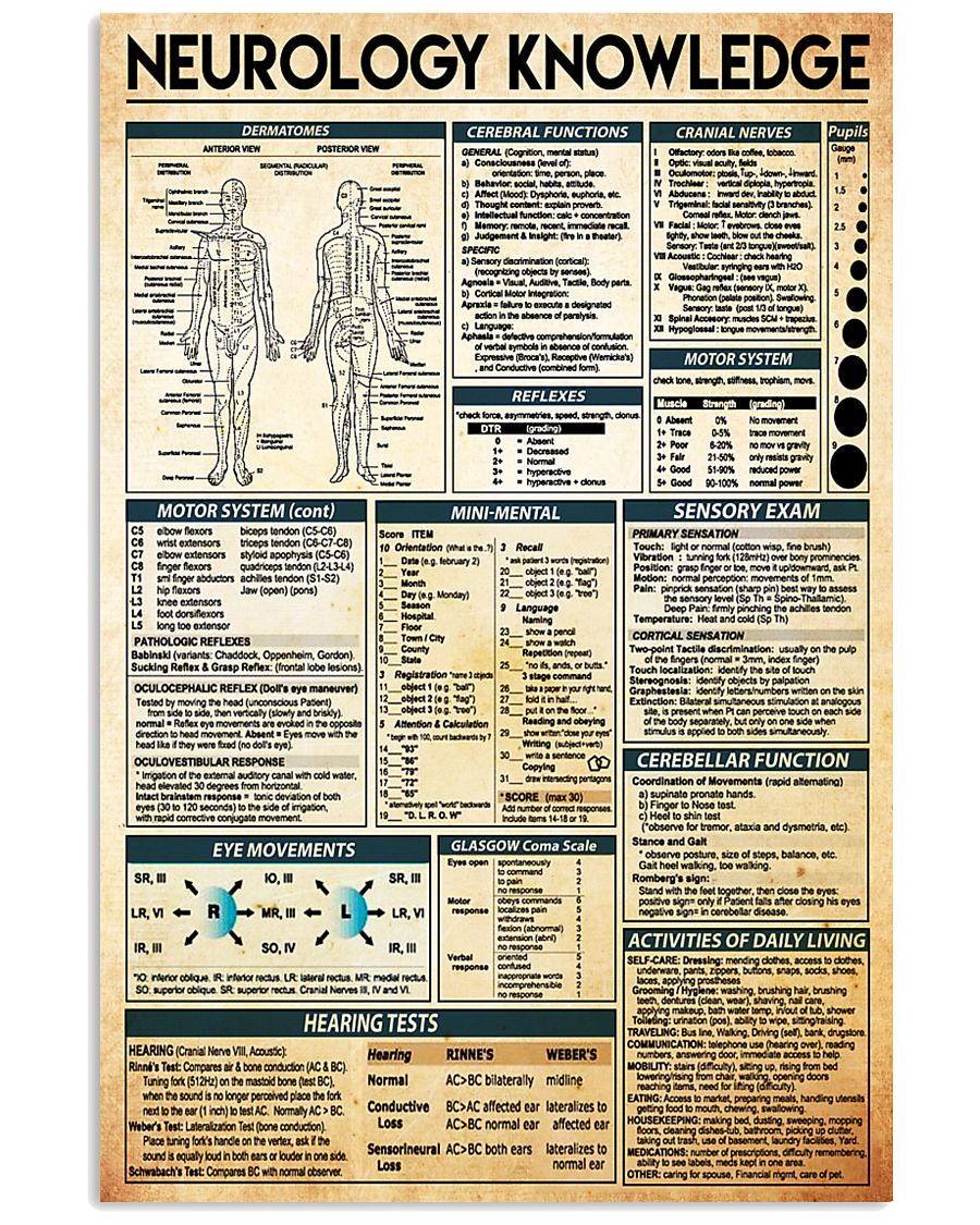 neurology knowledge 24x36 Poster