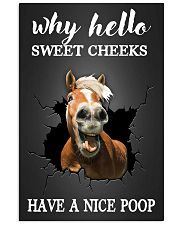 Why hello Sweet Cheeks 11x17 Poster front
