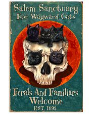Salem sanctuary for wayward cats 11x17 Poster front