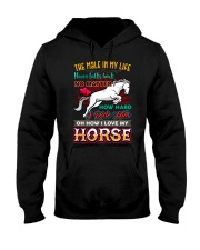 HORSE GIRL - PAST BUYERS EXCLUSIVE Hooded Sweatshirt thumbnail