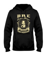 PRINCESS AND WARRIOR - BRE Hooded Sweatshirt thumbnail