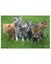 Cats Puzzle - LIMITED EDITION - 250 Piece Puzzle (horizontal) front