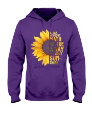 Math Teacher - A day without math Hooded Sweatshirt thumbnail