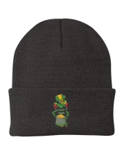 Frog Leprechaun Pot Of Gold Shamrock St Patrick's Knit Beanie thumbnail