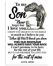 TO MY SON - DINOS - WHEN LIFE 16x24 Poster front