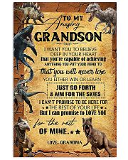 TO GRANDSON - DINOS - WIN OR LEARN 16x24 Poster front