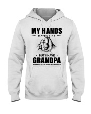 Gift for Grandson and Granddaughter Hooded Sweatshirt thumbnail