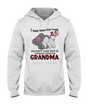 Gift for Grandma Hooded Sweatshirt thumbnail