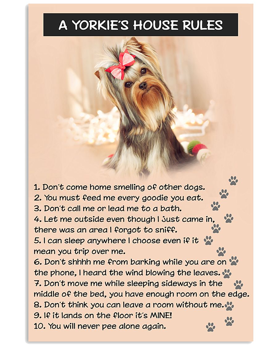 A YORKIES HOUSE RULES 11x17 Poster
